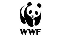 Client-WWF